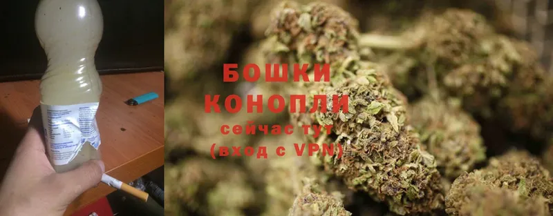 Шишки марихуана THC 21%  купить закладку  Калуга 